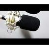 Audio Technica ATR2500, AT2035, AT2050, AT4040 Microphone Foam Cover Windscreen Filter (Black)
