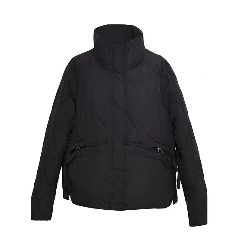 Короткая куртка-стойка с воротником-стойкой, женская, зимняя, 2024, модный дизайн, чувство, маленький человек, литературный и тонкий белый утиный пуховик, прилив