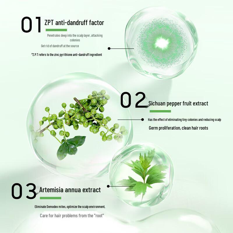 Cai Le Anti-Dandruff & Oil Control Shampoo Twin Pack