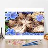 Домашнее украшение Холст DIY Живопись по номерам Искусство Цифровая живопись маслом Живопись маслом по номерам