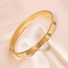 ZAKOL Classic Geometric Stainless Steel Bracelet Bangles With Zircon Exquisite Gold Color Birthday Zircon Gift for Women