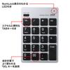 Sanwa Supply Wireless USB Numeric Keypad Silver NT-WL20SV