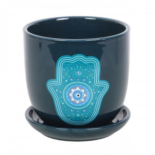Something Different Hand of Hamsa Indoor Plant