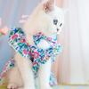 Производитель Pet Clothes, Одежда для кошек оптом, Одежда для собак