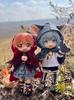 Obitsu 11 OB11 Size Costume for Obitsu Dolls Little Red Riding Hood and Big Bad Wolf Cosplay Costume with Wolf Cute Costume Red Riding (11cm Body),