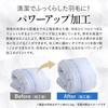 Showa Nishikawa Down Comforter, Made in Japan, 85% White Duck Down, 1.2kg, Plenty of Down, 350 Down Power, Winter Comforter, 3D Quilting, Single/Long,