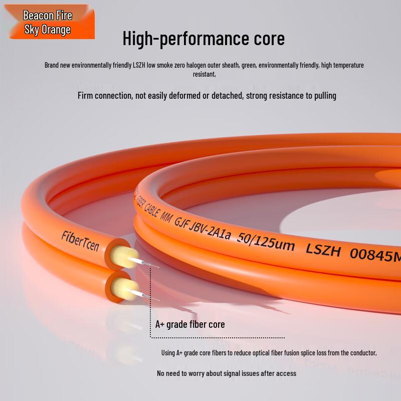 Fenghuo Tiancheng ST-ST Multimode Duplex Fiber Optic Patch Cable