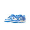 Nike Dunk Low GS Светло-голубой/Серебристый Детские кроссовки Светло-серебристый/Парусный FB9109-004