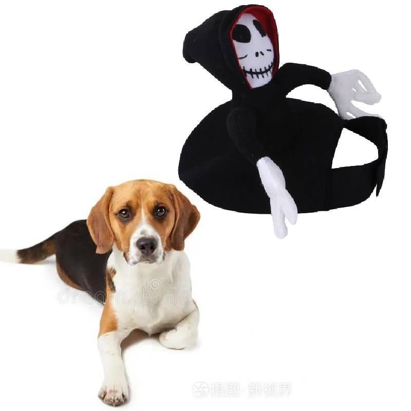 Universal Western Pet Costume Riding Outfit For Cats And Dogs Halloween Cosplay