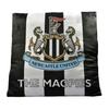 St James Park Stadium Filled Cushion