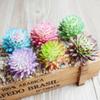 1pcs Lovely Artificial Succulent Plant Lotus Landscape Decorative Flower Mini Multicolor Fake Succulents Plant Garden Decoration