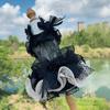 Summer Pet Dog Clothes Sexy Black Hollow Soft Lace Bow Sling Princess Dress For Small Medium Dog Poodle Chihuauha Puppy's Skirt