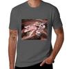 Rose Ballet Shoes TShirt Daily Wear Print TShirt