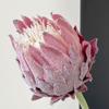 Multicolor Artificial Artichoke Flower Large Size Nordic Thistle Flower  Home Decoration