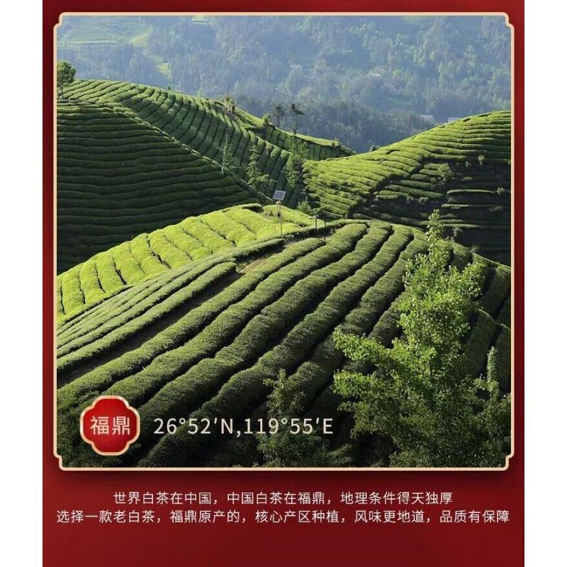 350г Белый чай Fuding High Mountain Old Белый чай High Mountain Sun Чайный торт