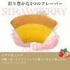 Gifts Sweets Baked Sweets Baumkuchen Assortment Patisserie Ginza Sembikiya Ginza Fruitkuchen B (16 Pieces)
