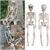 1 PC Party Supply Anatomy Photography Props Bone Human Skeleton Model Halloween