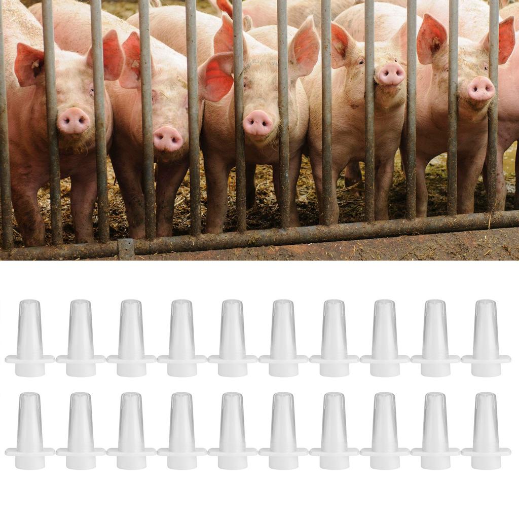 20 шт. Спрей для носа для свиней Вакцина Иммунный Дождеватель Капельница Ветеринарные принадлежности