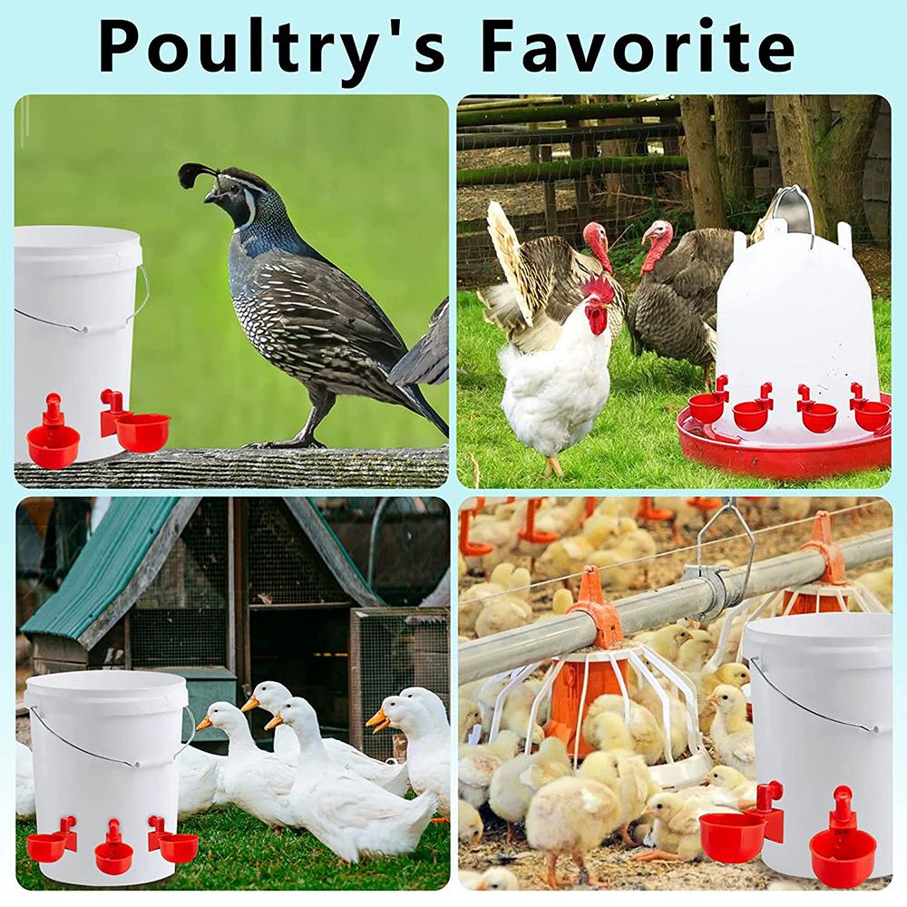 6 x Красные пластиковые автоматические поилки для птиц, кур, домашней птицы, курятника 10,5x4 см