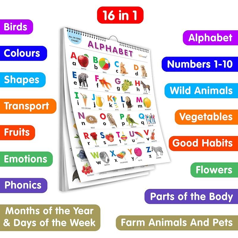 English Chart For Kids ( Charts ) x cm Children Spiral Wall Picture Chart