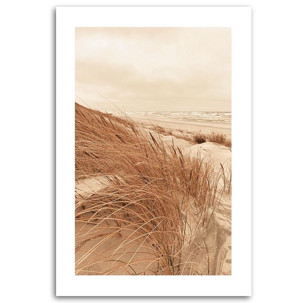 Canvas print, Gold dunes