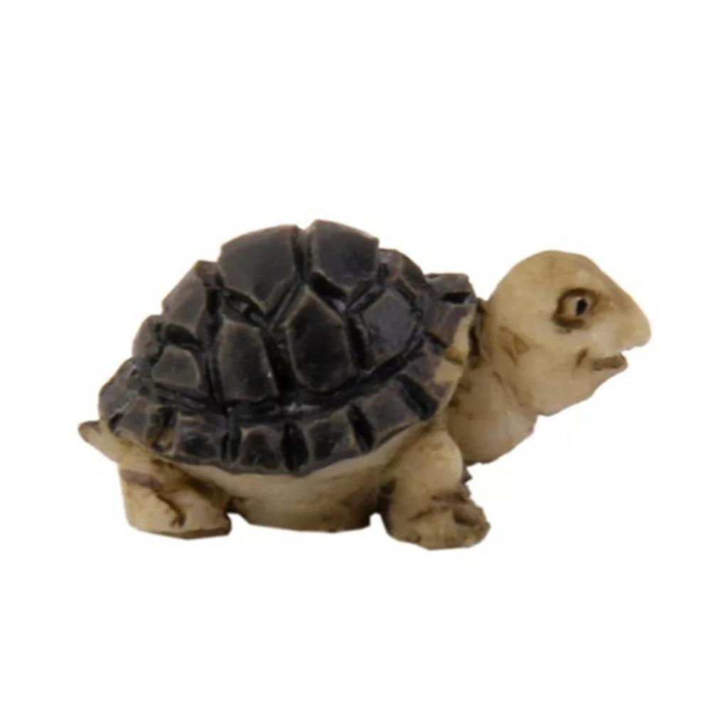 Miniature Turtle Dollhouse Bonsai Garden Garden Landscape Home Decorations