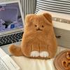 Cute Cat Hot Water Bottle, Thickened Explosion-Proof Small Hand Warmer, Water-Filled Hot Compress Hand Warmer for Girls
