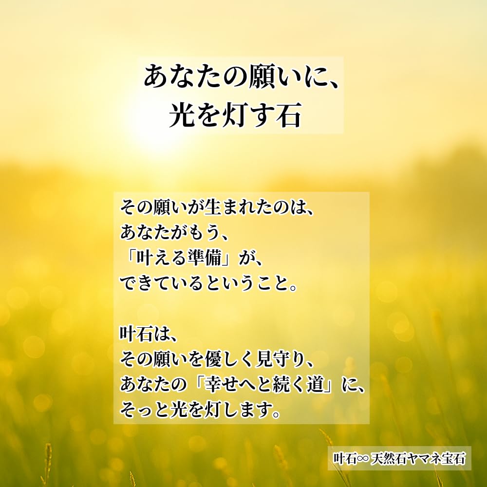 For Protection from Evil and Prosperity In Morion Bracelet for Men and Women Natural Power Stone 8mm Cut Quartz Women with Small Kanoishi [Amulet