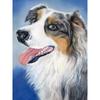 DIY 5D Diamond Painting Cross Stitch Kits Full Round Drill Dog Wall Art Mosaic Animal Diamond Embroidery Home Decoration Gift