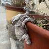 Подвесное украшение-горшок для цветов в виде слона, , Подарок-обнимашка для цветов, Подвесная статуэтка для патио,