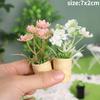 1:12 Dollhouse Miniature Mini Potted Plant Dollhouse  Fairy Garden Miniature Flower Plant Diy Dollhouse Accessories