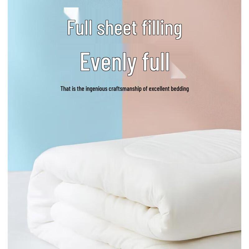 Luolaiya All-Season Soft Silk Quilt