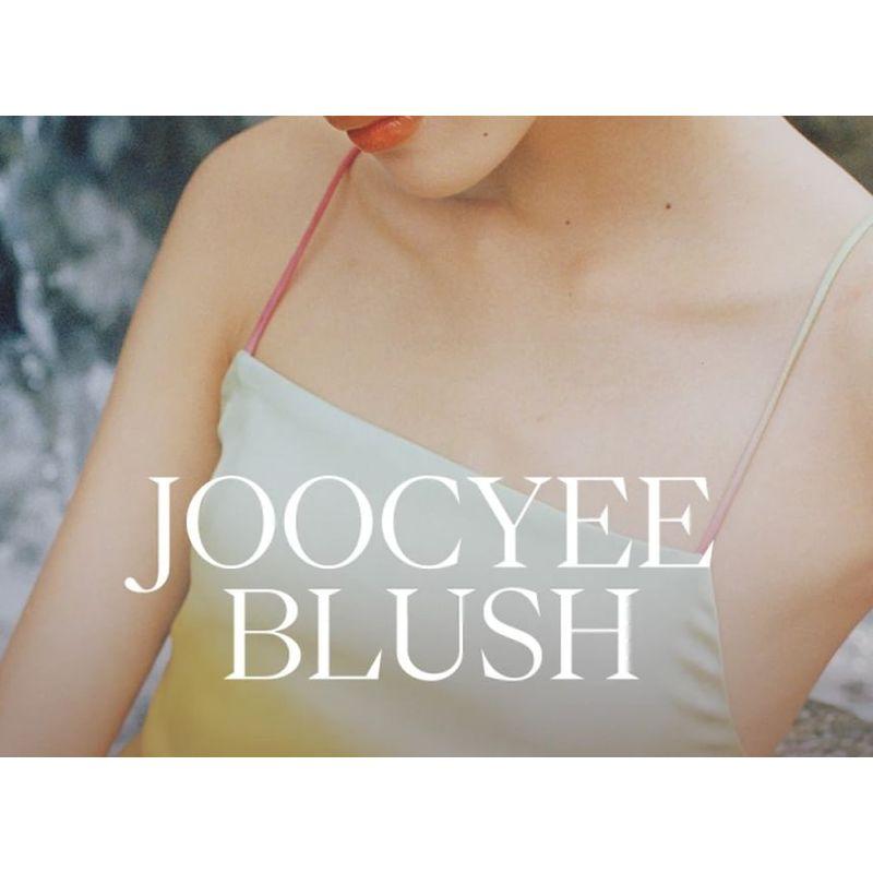 JOOCYEE - Хайлайтер 'Спиральная Ракушка'