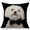 Black Background Dog Puppy Portrait Vizsla Husky Shepherd Shibu Cute Sofa Pillow Case Home Decorative Cotton Linen Cushion Cover