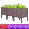 Extra Large Yellow-Edged Rooftop & Balcony Vegetable Planter Box