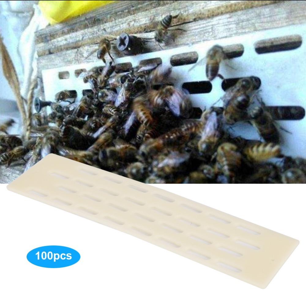 100pcs Durable Beekeeping Tool Plastic Beekeeping Accessories Queen Escaping Plate Beekeeping