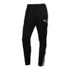 Puma Тренировочные брюки Zqj Puma Teamlia Тренировочные брюки 657