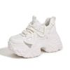 2025 Spring New Casual Fashion Platform Dad Shoes Women's Inner Height Increase Women's Shoes Versatile Sports and Leisure Shoes