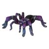 Ubia Tarantula Brown Purple Magnet, 11.2 X 10.5 X 3 Cm, Figurine, Animal Ornament, Garden Decor, Realistic, Cute Spider, H21111-1