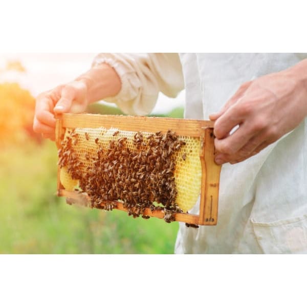 Wakasho HONEY JAPAN Капли манука мед и имбирь 22 г (6 капсул)Он сделан без сахара или сиропа, Он сделан без сахара или сиропа, с использованием только меда.