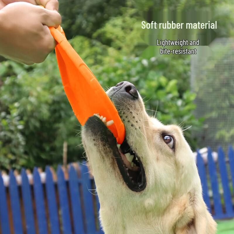 Dog Training Soft Rubber Frisbee Set