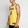 Nike Баскетбольная майка NBA Los Angeles Lakers Icon Edition Коби Брайант Swingman AV1229-728