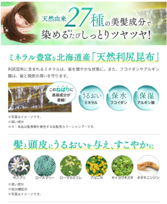 Sastty Rishiri Color Shampoo для седых волос 200 мл, (Темно коричневый)