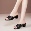 High-heeled Slippers Women's Summer Outer Wear Fashion Temperament Comfortable Thick Heel 2025 New Summer Non-slip One-word Cool Slippers
