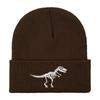 Winter new dinosaur pattern embroidery knitted hat pile wool hat thermal hat versatile pile hat