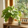 Vibrant Colors Artificial Plants 42 Leaves Simulated Green Plants Fake Tree Leaves  Patio