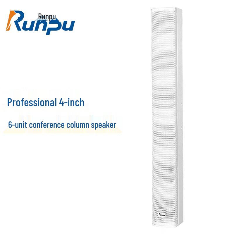 Runpu Professional Conference & Auditorium Audio Systems CN plug (adapter included)