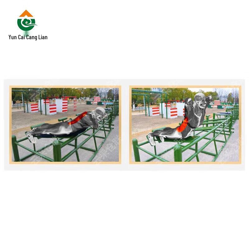 Outdoor Four-Person Back Combination Trainer