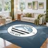 Swansea City Design Crystal Velvet Rug Soft Decorative Mat for Bedroom Entrance