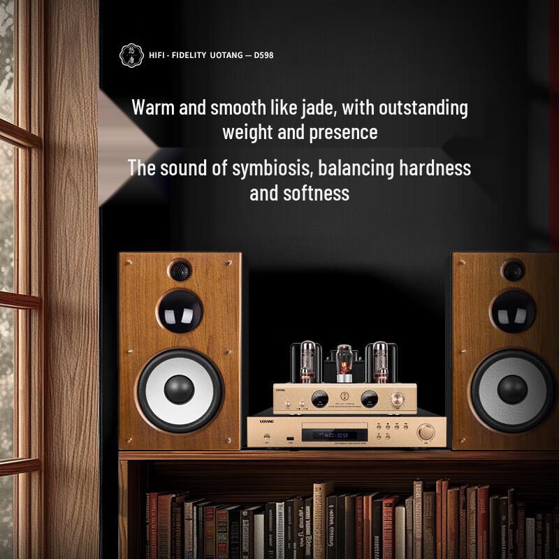 Youtang D598 Hi-Fi Vacuum Tube Audio System (CN version)